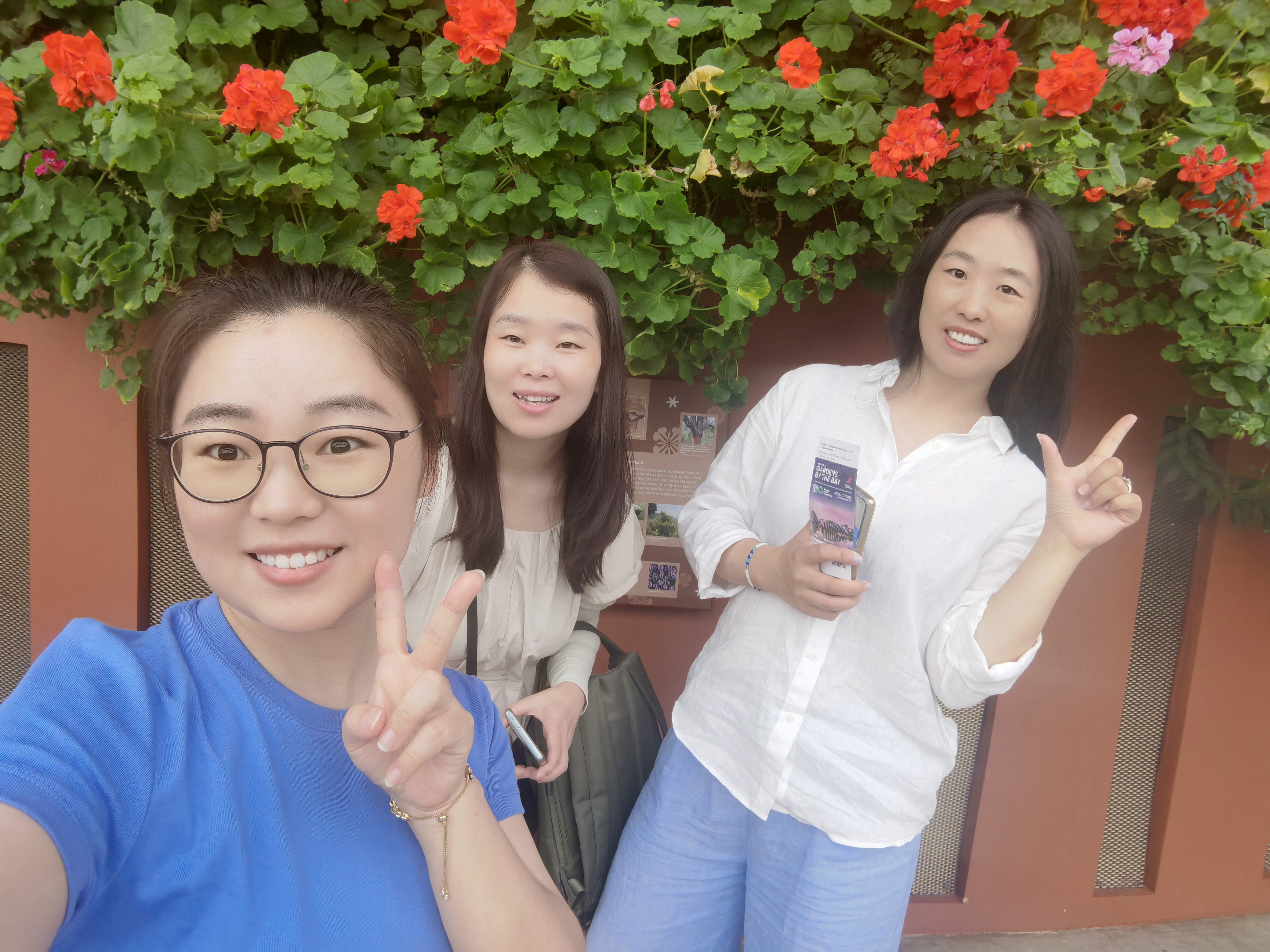 Градини край залива