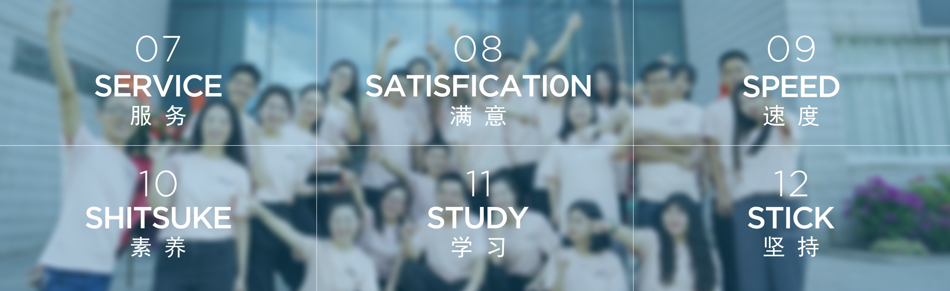 12S smt машина